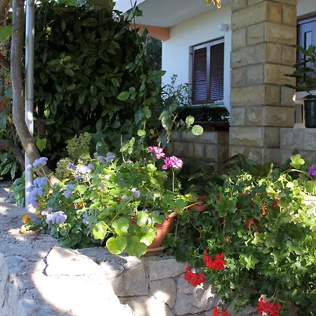 Kozino 5749d Apartment Petrcane